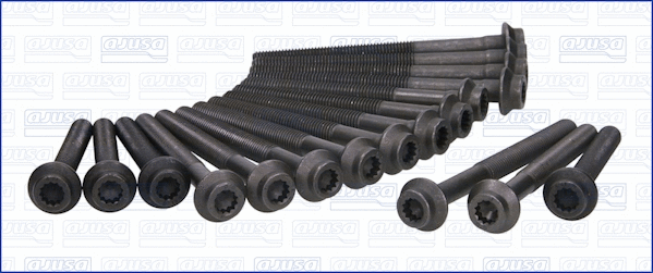 Cylinder Head Bolt Set (81012500)