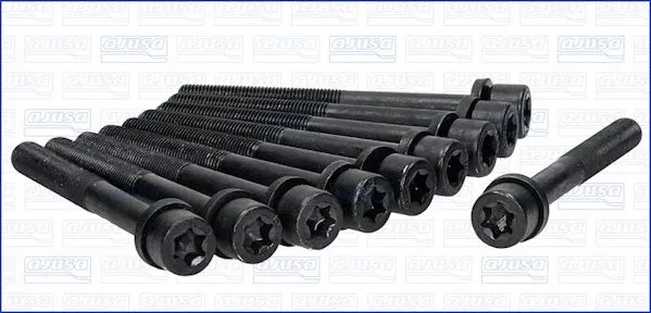 Cylinder Head Bolt Set (81017500)