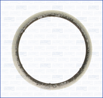 Gasket, exhaust pipe (01163800)