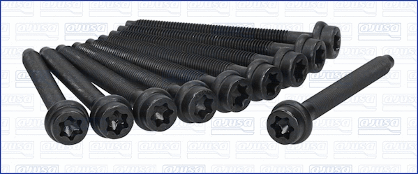 Cylinder Head Bolt Set (81008700)