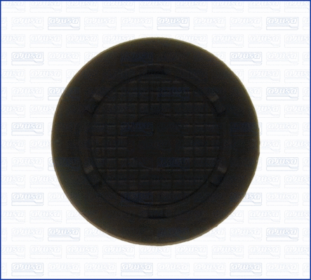 Locking Cover, camshaft (00837700)