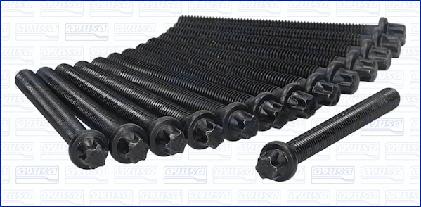 Cylinder Head Bolt Set (81008500)