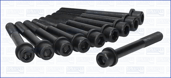 Cylinder Head Bolt Set (81003800)