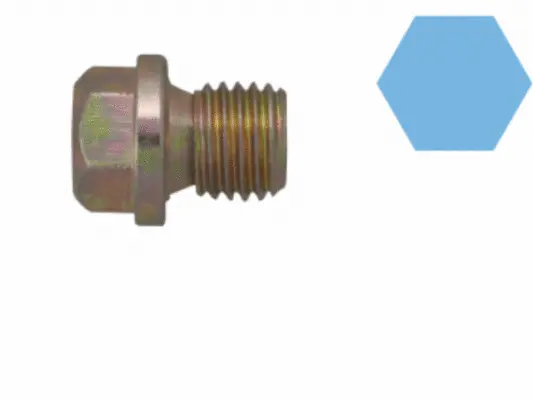 Screw Plug, oil sump (220118S)