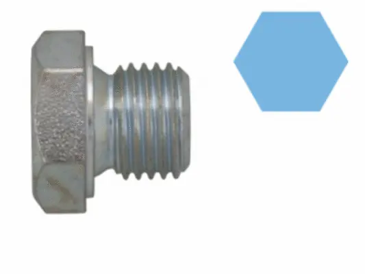 Screw Plug, oil sump (220104S)