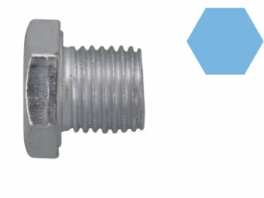 Screw Plug, oil sump (220056H)