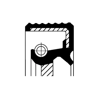 Shaft Seal, camshaft (20020461B)