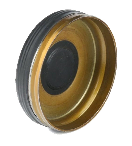 Plug, rocker arm shaft mounting bore (82331298)
