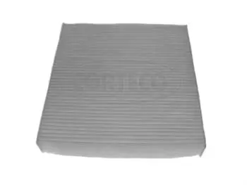 Filter, cabin air (80000345)