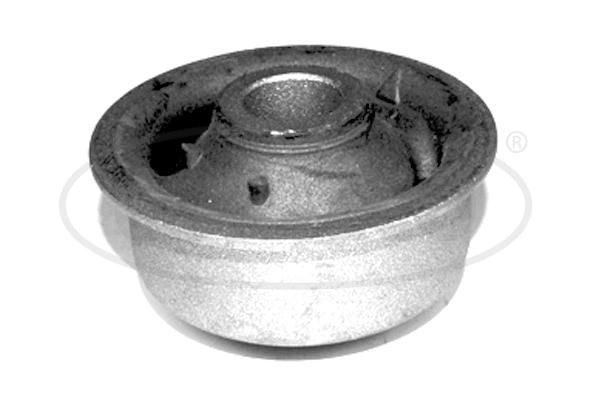 Mounting, control/trailing arm (49397864)