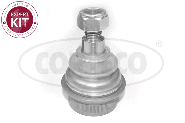 Ball Joint (49400323)