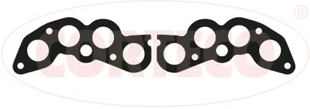 Gasket, intake/exhaust manifold (423915P)