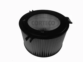 Filter, cabin air (21651987)