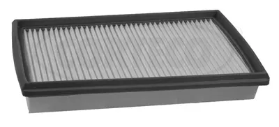 Air Filter (80004671)