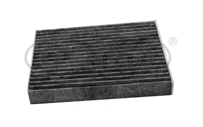 Filter, cabin air (80004702)