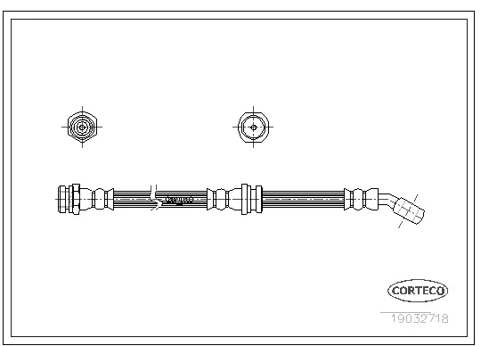 Brake Hose (19032718)