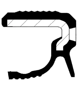 Shaft Seal, crankshaft (20036307B)