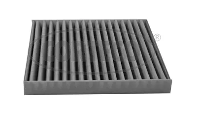 Filter, cabin air (80004701)