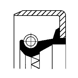 Shaft Seal, camshaft (12011389B)
