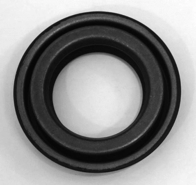Shaft Seal, differential