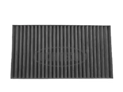 Filter, cabin air (80001442)