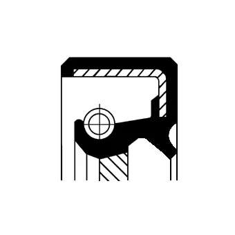 Shaft Seal, differential (19033964B)