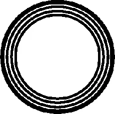 Gasket, exhaust pipe (027109H)