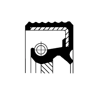 Shaft Seal, crankshaft (20028958B)