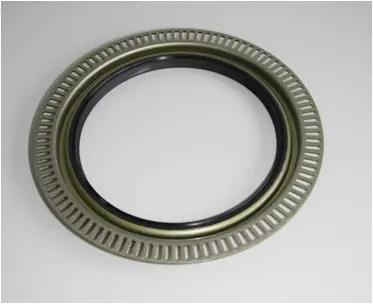 Shaft Seal, differential (01027787B)