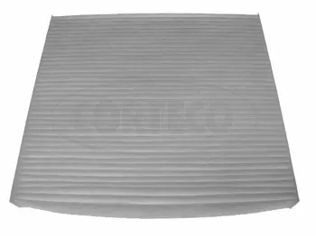 Filter, cabin air (21652874)