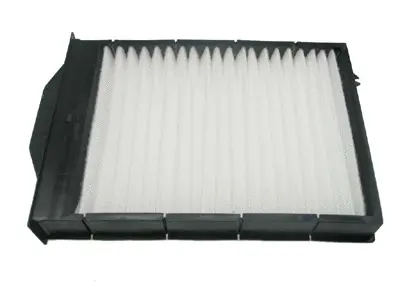 Filter, cabin air (21653071)