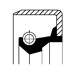 Seal Ring (19017086B)