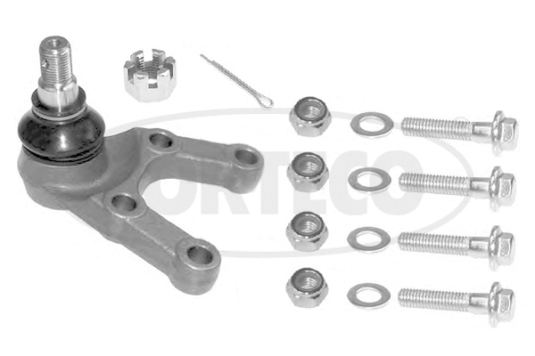 Ball Joint (49400253)