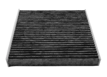 Filter, cabin air (80004573)