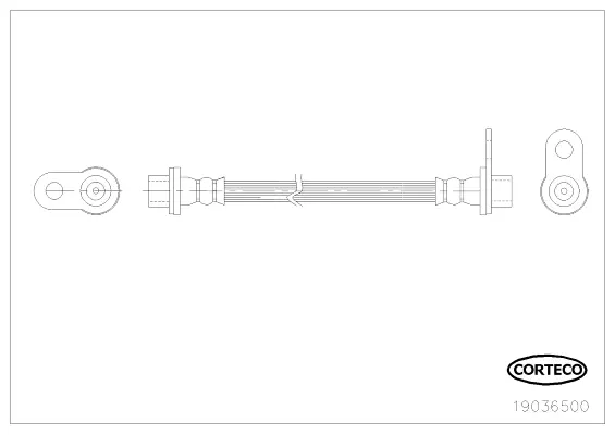 Brake Hose (19036500)