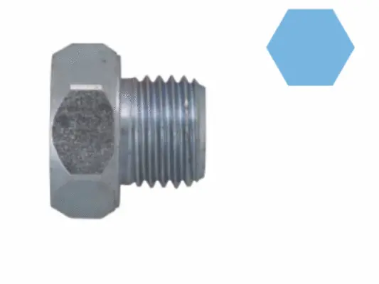 Screw Plug, oil sump (220138S)