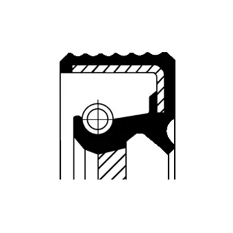 Shaft Seal, crankshaft (20018317B)