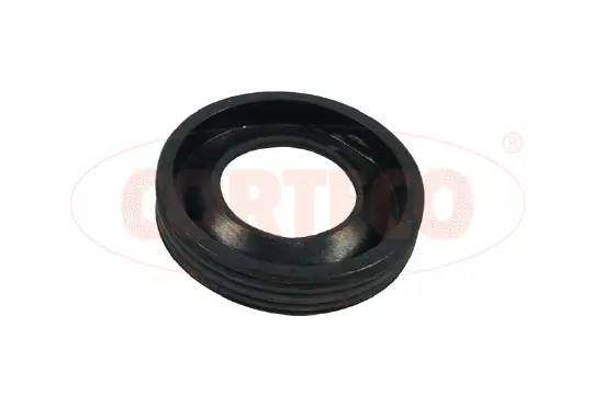 Seal Ring Set, injection valve