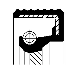 Shaft Seal, camshaft (20017035B)