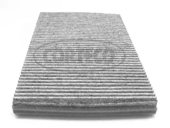 Filter, cabin air (80000417)