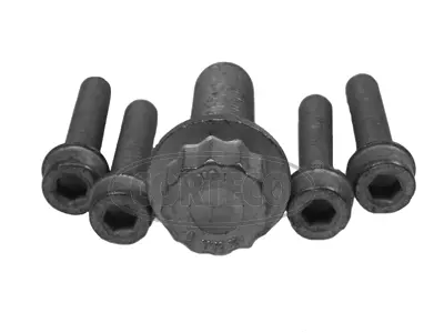 Bolt Set, crankshaft pulley (80001263)
