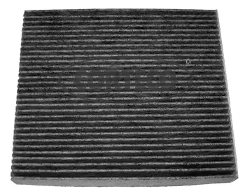 Filter, cabin air (80001177)