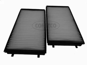 Filter, cabin air (21652848)