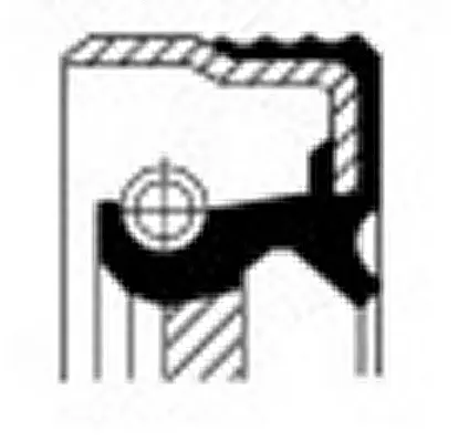 Shaft Seal, crankshaft (12018321B)