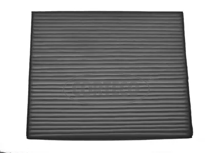 Filter, cabin air (80001212)