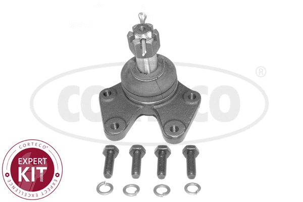 Ball Joint (49400586)