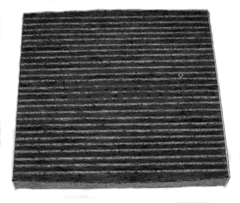 Filter, cabin air (80001184)