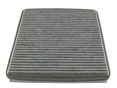 Filter, cabin air (80000749)