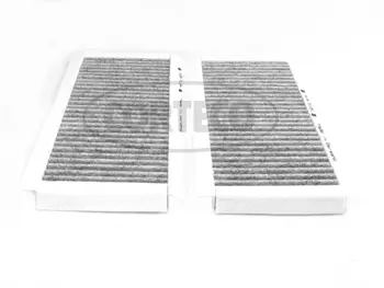 Filter, cabin air (80000441)