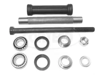 Repair Kit, steering knuckle (21653161)